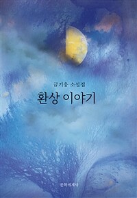 환상 이야기 :금기웅 소설집 