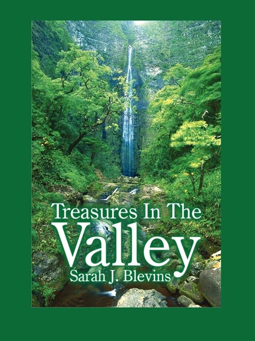 Treasures In The Valley (Paperback)