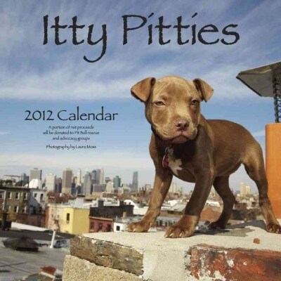 Itty Pitties 2012 Calendar (Paperback)