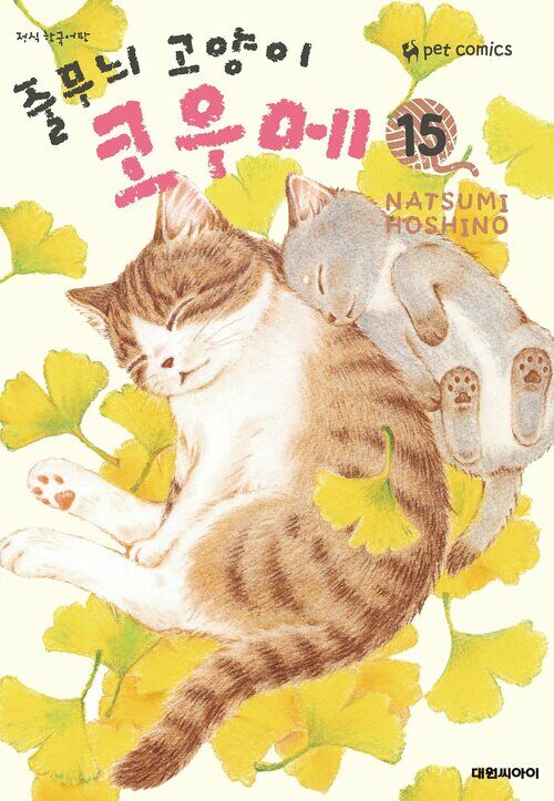 [고화질] 줄무늬 고양이 코우메 15