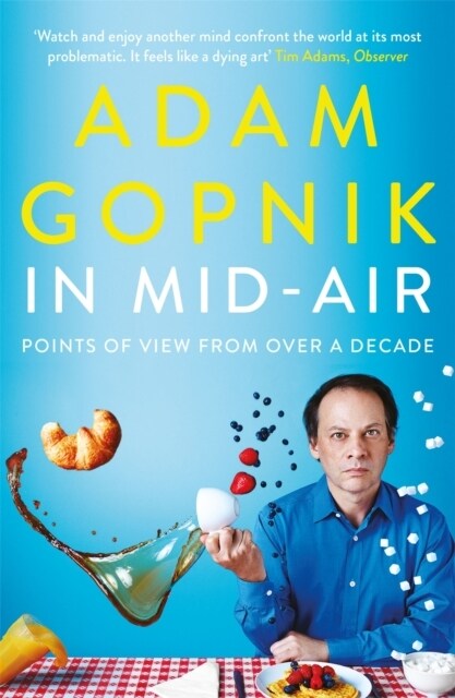 In Mid-Air : Points of View from over a Decade (Paperback)