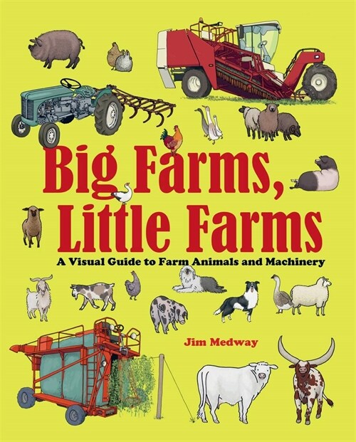 Big Farms, Little Farms : A Visual Guide to Farms and Farm Animals (Hardcover)