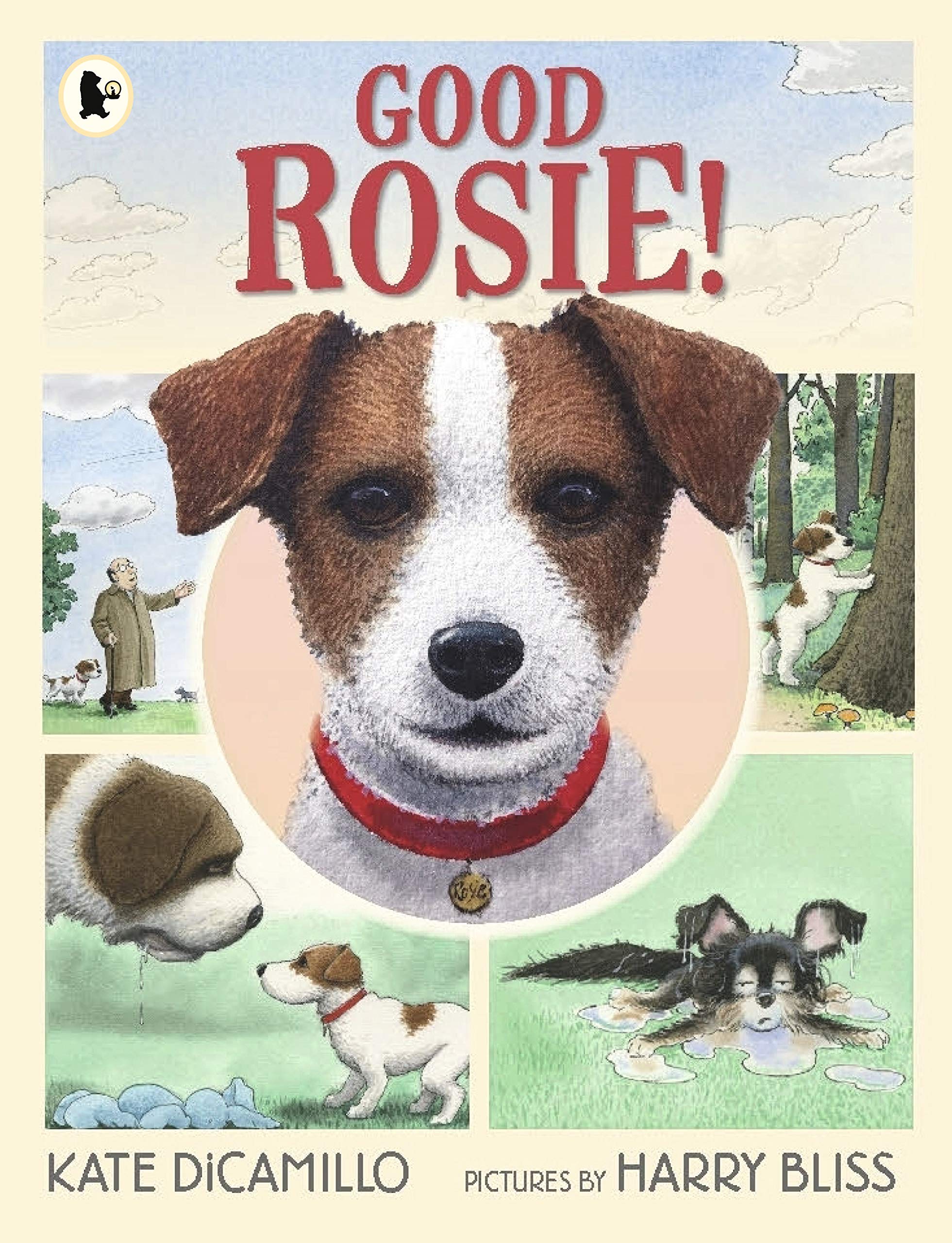 Good Rosie! (Paperback)