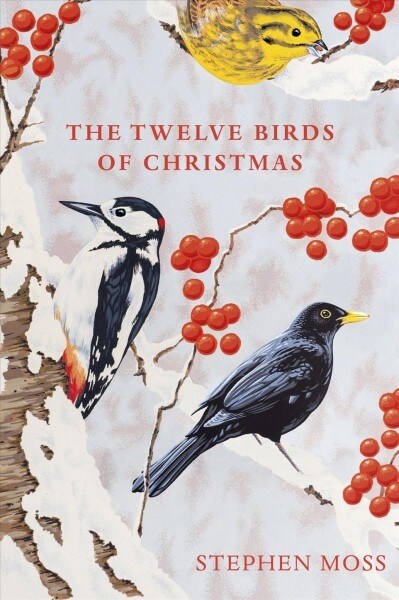 The Twelve Birds of Christmas (Hardcover)