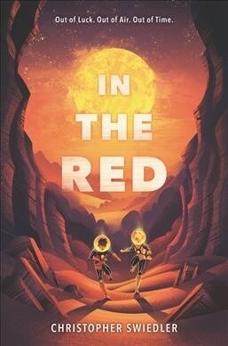 In the Red (Hardcover)