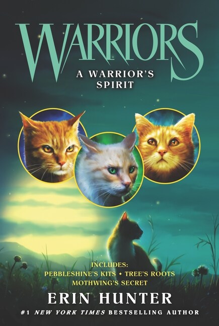 A Warriors Spirit (Paperback)