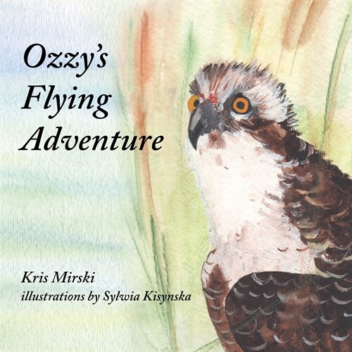 Ozzys Flying Adventure (Paperback)