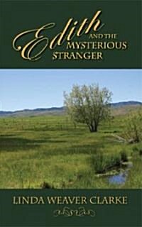 Edith and the Mysterious Stranger (Paperback)
