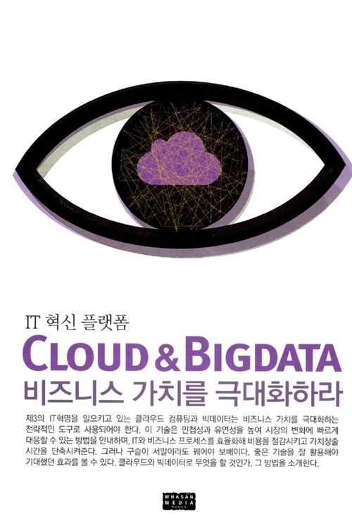IT 혁신 플랫폼 Cloud & Bigdata : 비즈니스 가치를 극대화하라