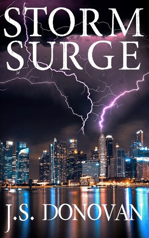 Storm Surge (Paperback)