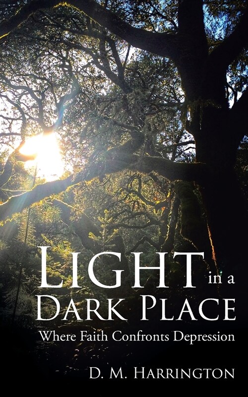 Light in a Dark Place: Where Faith Confronts Depression (Paperback)