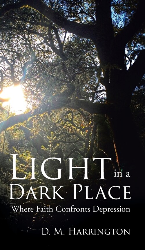 Light in a Dark Place: Where Faith Confronts Depression (Hardcover)