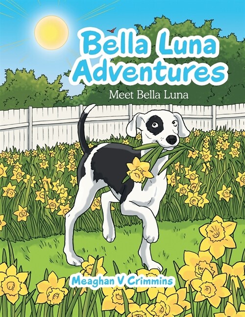 Bella Luna Adventures: Meet Bella Luna (Paperback)