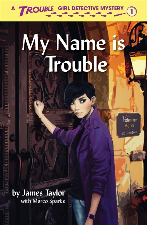 My Name is Trouble (Paperback)