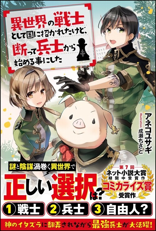 異世界の戰士として國に招かれたけど、斷って兵士から始める事にした (ツギクルブックス)