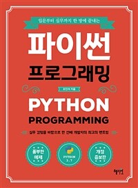 (입문부터 실무까지 한 방에 끝내는) 파이썬 프로그래밍 =실무 경험을 바탕으로 한 선배 개발자의 최고의 멘토링 /Python programming 
