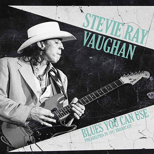 [수입] Stevie Ray Vaughan - Blues You Can Use [2LP]