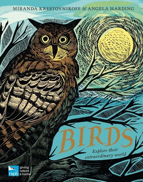 RSPB Birds : Explore their extraordinary world (Hardcover)