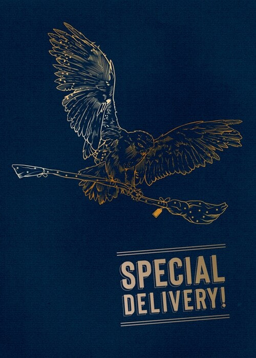 Harry Potter: Hedwig Signature Pop-Up Card (Other)