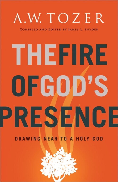 The Fire of Gods Presence: Drawing Near to a Holy God (Paperback)