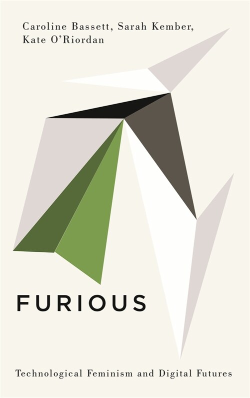 Furious : Technological Feminism and Digital Futures (Paperback)