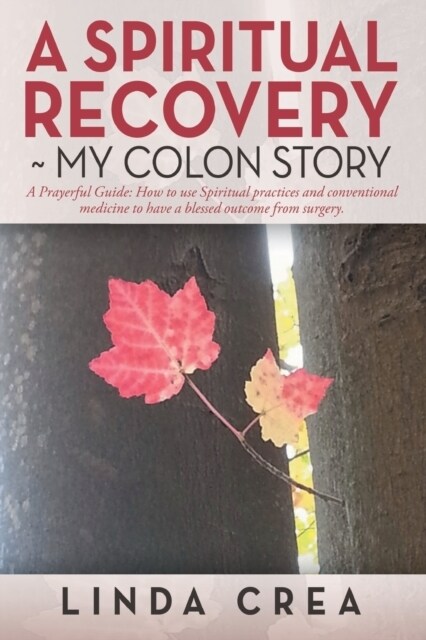 A Spiritual Recovery my colon story: A prayerful Guide: How to use spiritual practices and conventional medicine to have a blessed outcome from surger (Paperback)