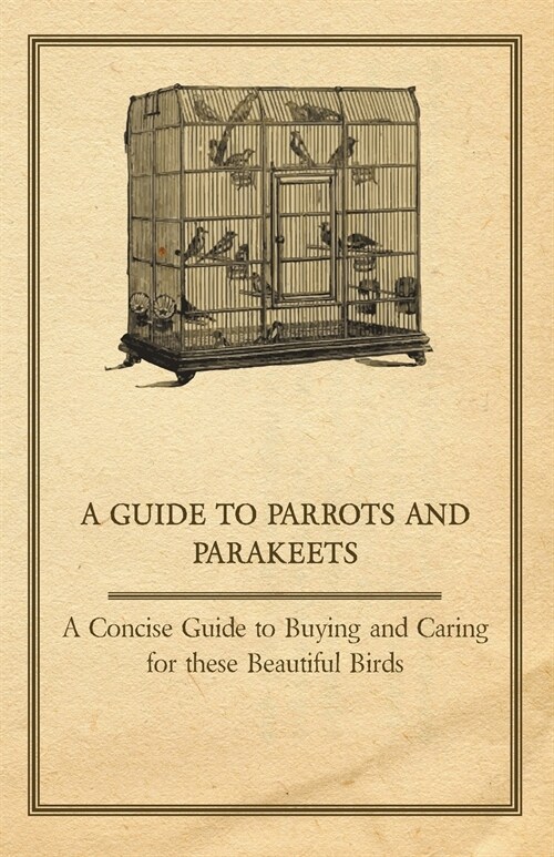 A Guide to Parrots and Parakeets - A Concise Guide to Buying and Caring for These Beautiful Birds (Paperback)