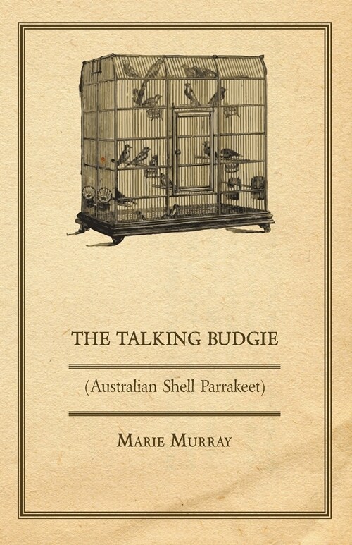The Talking Budgie (Australian Shell Parrakeet) (Paperback)