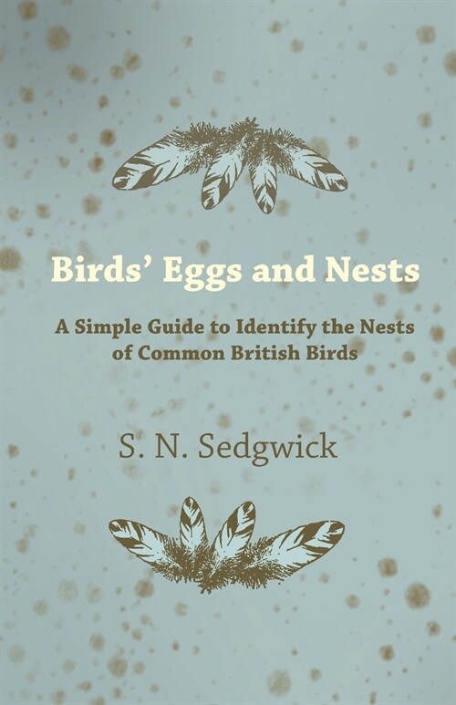 Birds Eggs and Nests - A Simple Guide to Identify the Nests of Common British Birds (Paperback)