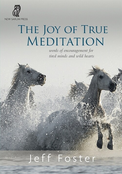 The joy of True Meditation: Words of Encouragement for Tired Minds and Wild Hearts (Paperback)