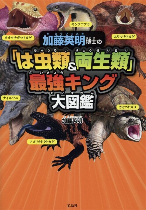 加藤英明博士の「は蟲類&兩性類」最强キング大圖鑑