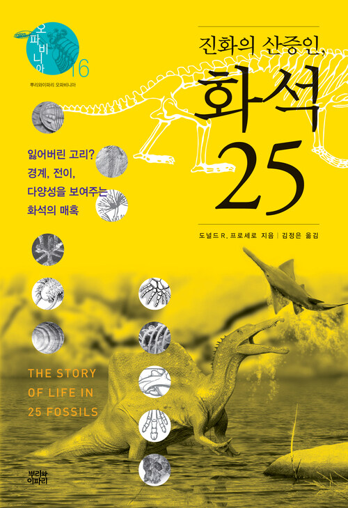 진화의 산증인, 화석 25