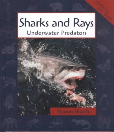Sharks and Rays (Library)