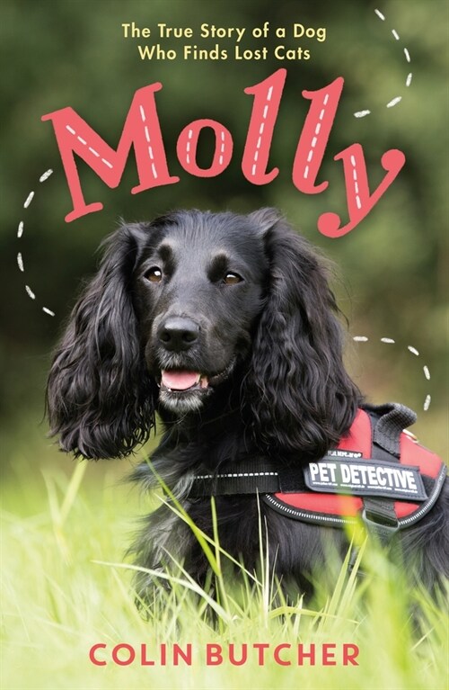 Molly: The True Story of the Dog Who Rescues Lost Cats (Hardcover)