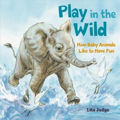 Play in the Wild: How Baby Animals Like to Have Fun (Hardcover)