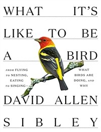 What It's Like to Be a Bird: From Flying to Nesting, Eating to Singing--What Birds Are Doing, and Why (Hardcover)