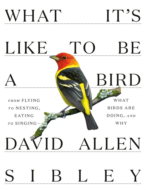 What Its Like to Be a Bird: From Flying to Nesting, Eating to Singing--What Birds Are Doing, and Why (Hardcover)