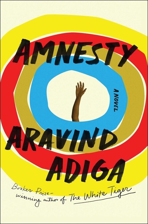 Amnesty (Hardcover)