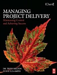 Managing Project Delivery: Maintaining Control and Achieving Success (Paperback)