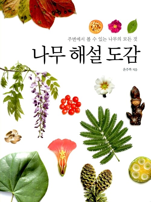 나무 해설 도감: 주변에서 볼 수 있는 나무의 모든 것