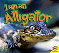 Alligator (Hardcover)