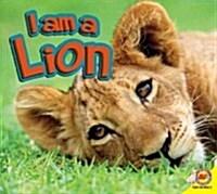 Lion (Hardcover)