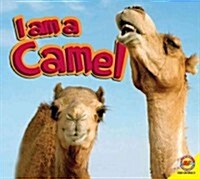 Camel (Hardcover)