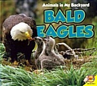 Bald Eagles with Code (Paperback)
