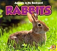 Rabbits with Code (Paperback)