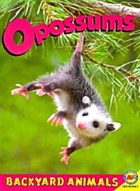Opossums with Code (Paperback)