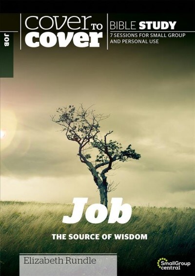 JOB (Paperback)