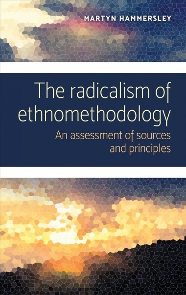 The Radicalism of Ethnomethodology : An Assessment of Sources and Principles (Paperback)