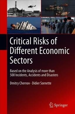 Critical Risks of Different Economic Sectors: Based on the Analysis of More Than 500 Incidents, Accidents and Disasters (Paperback, 2020)