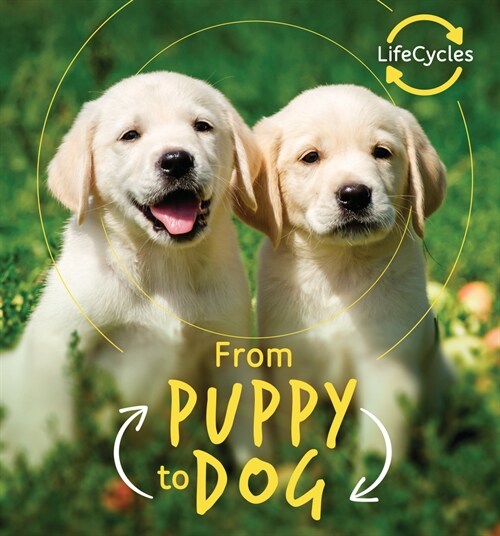 From Puppy to Dog (Library Binding)